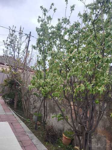 Satılır 4 otaqlı həyət evi/bağ evi 110 m², Biləcəri q., photo 13 from 17