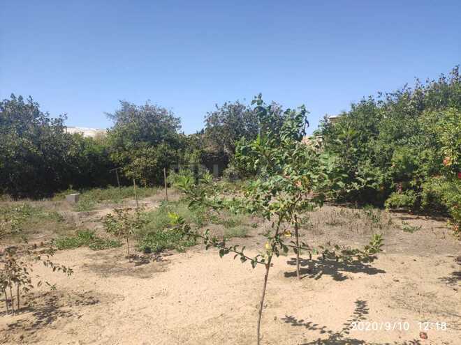 Продаётся  участок 5.5 сот, пос. Шувеляны, photo 3 from 5