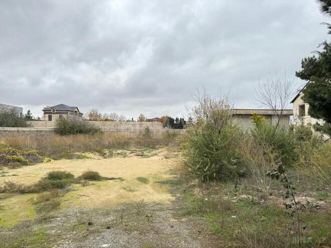 Продаётся  участок 12 сот, пос. Шувеляны, photo 6 from 7