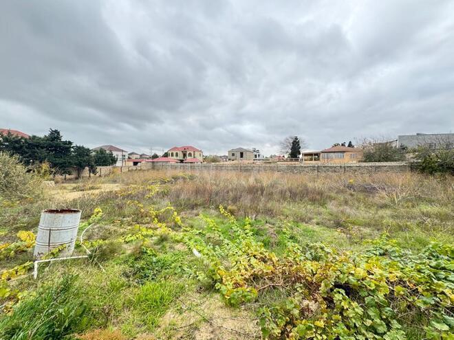 Продаётся  участок 12 сот, пос. Шувеляны, photo 4 from 7