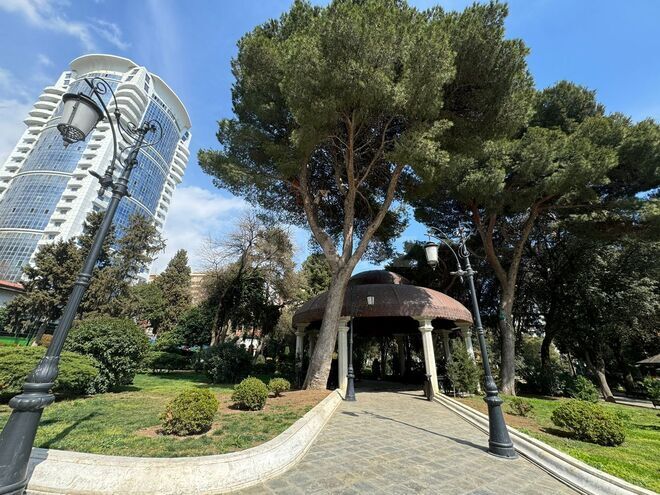 Сдаётся  объект 160 м², м. Низами, photo 12 from 13