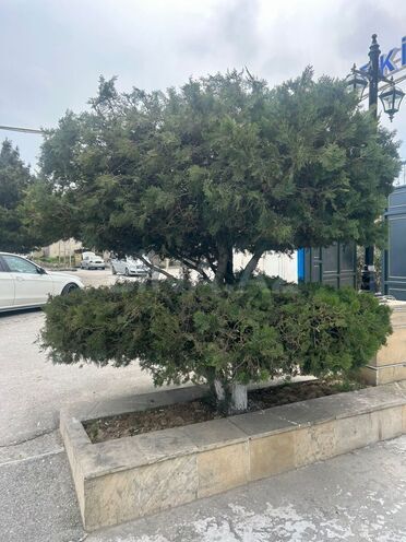 İcarəyə verilir  obyekt 430 m², Xətai r., photo 6 from 9