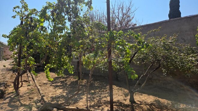 Продаётся 7-комн. дом/дача 180 м², пос. Шувеляны, photo 3 from 17