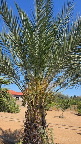 Продаётся 7-комн. дом/дача 180 м², пос. Шувеляны, photo 6 from 17