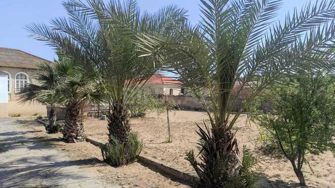 Продаётся 7-комн. дом/дача 180 м², пос. Шувеляны, photo 14 from 17