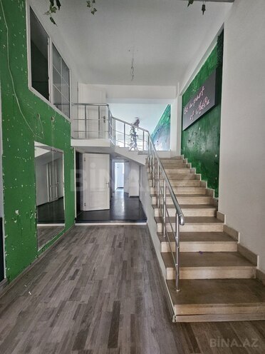 Сдаётся  объект 190 м², м. Низами, photo 6 from 12