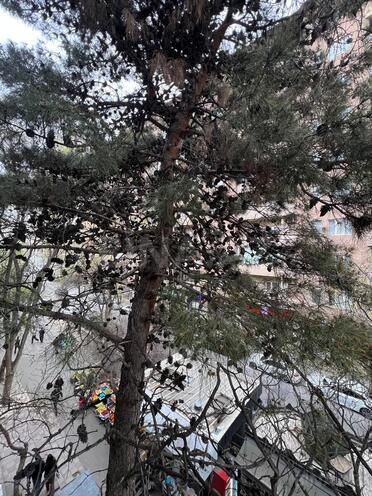 Satılır 3 otaqlı köhnə tikili 65 m², Elmlər Akademiyası m., photo 16 from 17