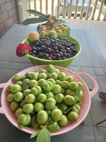 Satılır 6 otaqlı həyət evi/bağ evi 400 m², Novxanı q., photo 15 from 22