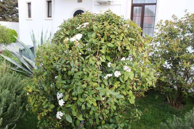 Satılır 4 otaqlı həyət evi/bağ evi 161 m², Bilgəh q., photo 8 from 30