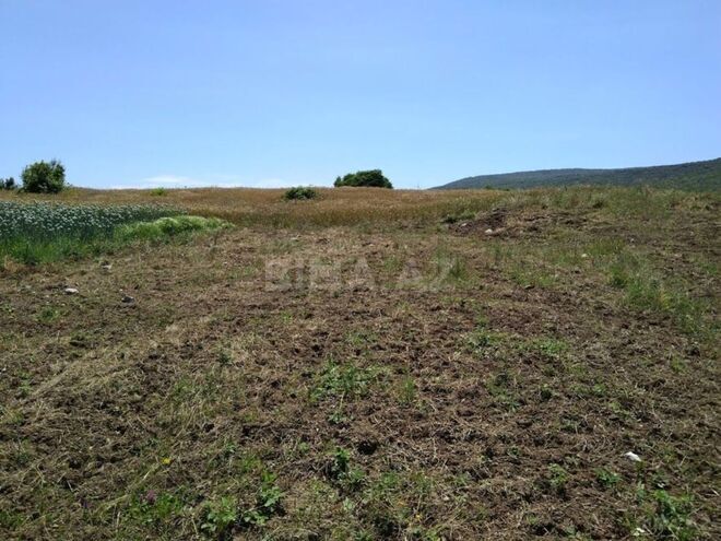 Продаётся  участок 350 сот, м. Ахмедлы, photo 1 from 5