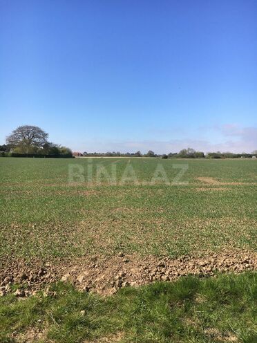 Продаётся  участок 350 сот, м. Ахмедлы, photo 3 from 5