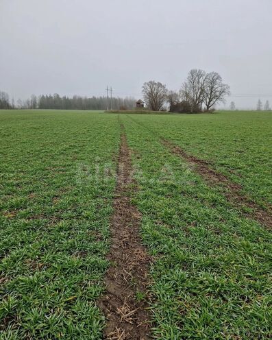 Продаётся  участок 350 сот, м. Ахмедлы, photo 4 from 5