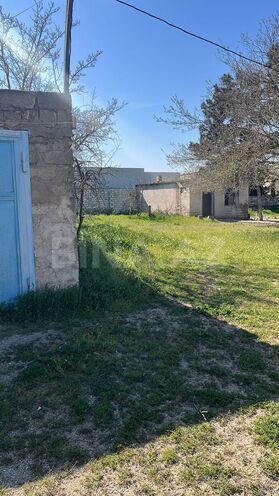 Продаётся  участок 32 сот, пос. Шувеляны, photo 9 from 14