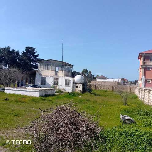 Продаётся  участок 32 сот, пос. Шувеляны, photo 10 from 14