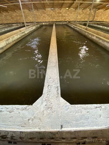 Satılır 6 otaqlı həyət evi/bağ evi 150 m², photo 12 from 32