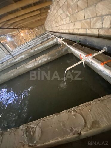 Satılır 6 otaqlı həyət evi/bağ evi 150 m², photo 22 from 32