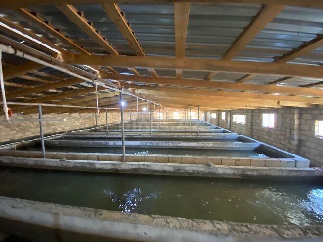 Satılır 6 otaqlı həyət evi/bağ evi 150 m², photo 15 from 32