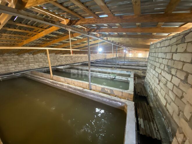 Satılır 6 otaqlı həyət evi/bağ evi 150 m², photo 29 from 32