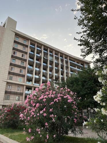 Продаётся 4-комн. вторичка 110 м², м. Гянджлик, photo 29 from 32