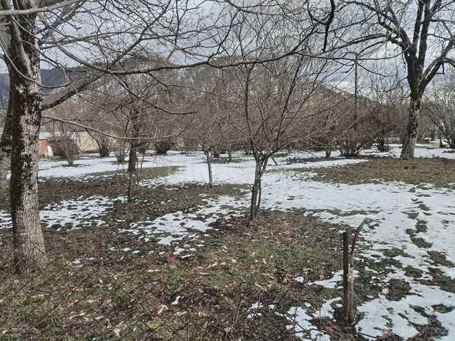 Продаётся  участок 8 сот, photo 4 from 6