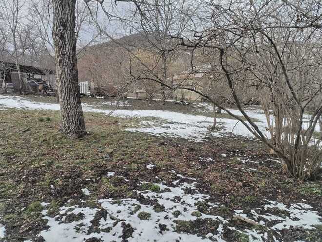 Продаётся  участок 8 сот, photo 3 from 6