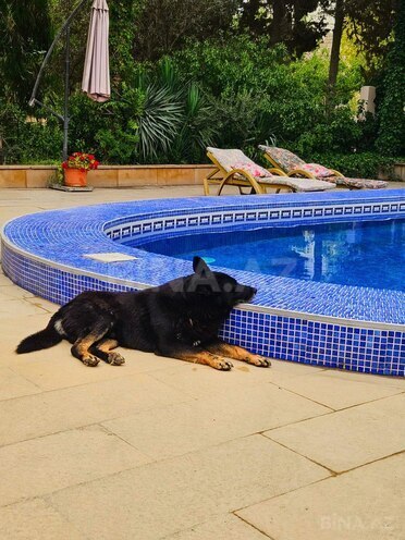 Продаётся 5-комн. дом/дача 240 м², пос. Нардаран, photo 15 from 27