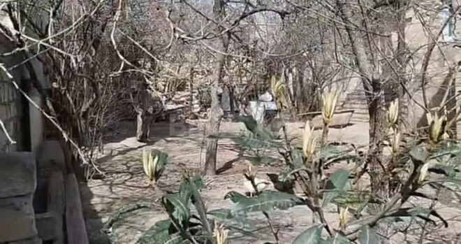 Satılır  torpaq 4 sot, Nəsimi m., photo 6 from 7