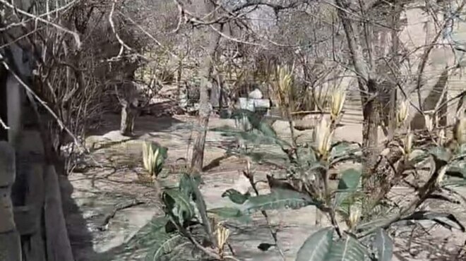 Satılır  torpaq 4 sot, Nəsimi m., photo 1 from 7