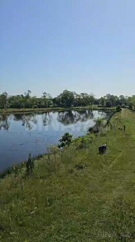 Продаётся  участок 300 сот, Астара р., photo 10 from 13