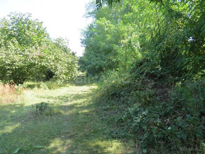 Продаётся  участок 42 сот, photo 7 from 10