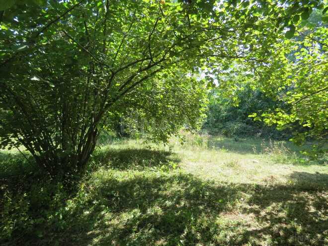 Продаётся  участок 42 сот, photo 5 from 10