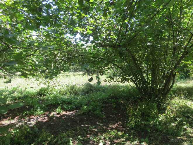 Продаётся  участок 42 сот, photo 9 from 10