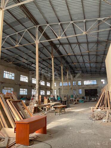 Сдаётся  объект 1 300 м², photo 5 from 7