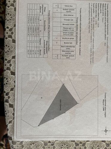 Satılır  torpaq 1 019 sot, Pirəkəşkül q., photo 3 from 5
