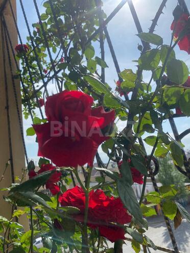 Продаётся 3-комн. новостройка 120 м², пос. Бакиханова, photo 10 from 14