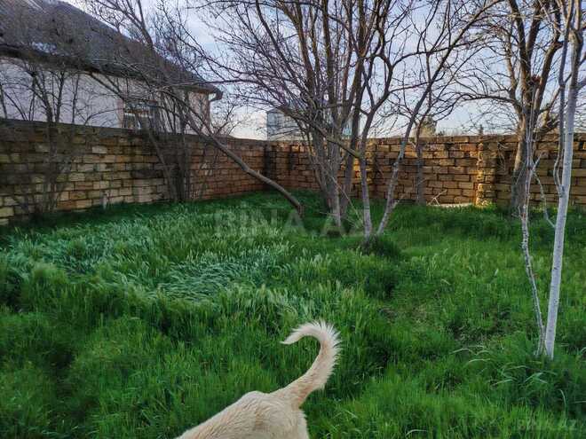 Продаётся  участок 24 сот, пос. Новханы, photo 3 from 32