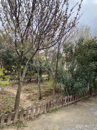 İcarəyə verilir 3 otaqlı həyət evi/bağ evi 130 m², Novxanı q., photo 7 from 20