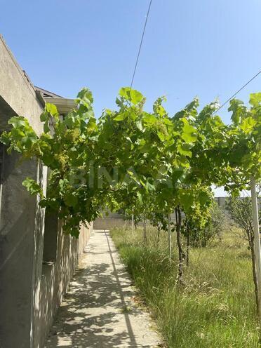 İcarəyə verilir 7 otaqlı həyət evi/bağ evi 520 m², Buzovna q., photo 9 from 32
