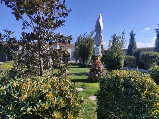 Сдаётся 6-комн. дом/дача 550 м², пос. Мардакан, photo 14 from 30