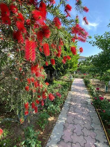 Сдаётся 6-комн. дом/дача 300 м², Сабунчинский  р., photo 16 from 29