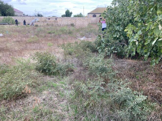 Satılır 3 otaqlı həyət evi/bağ evi 105 m², Türkan q., photo 6 from 14