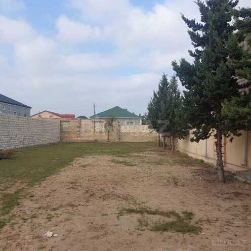 Satılır  torpaq 6 sot, Albalılıq q., photo 1 from 10