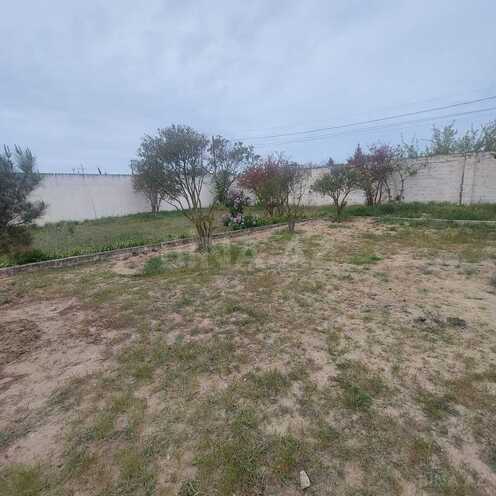 Satılır  torpaq 6 sot, Albalılıq q., photo 1 from 12