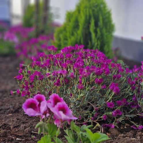 Продаётся 7-комн. дом/дача 450 м², пос. Бадамдар, photo 25 from 32