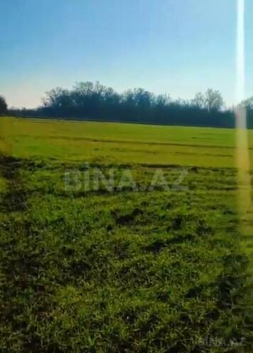 Продаётся  участок 126 сот, Хачмазский р., photo 1 from 6