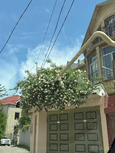 İcarəyə verilir 5 otaqlı həyət evi/bağ evi 250 m², Nəsimi m., photo 3 from 32