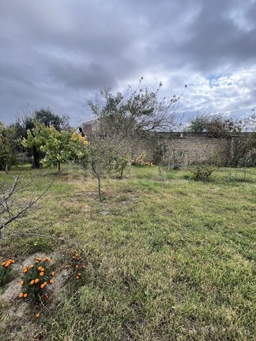 Продаётся  участок 5 сот, пос. Горадил, photo 5 from 6