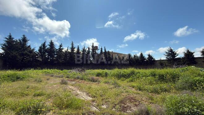 Продаётся  участок 10 сот, пос. Шаган, photo 5 from 8