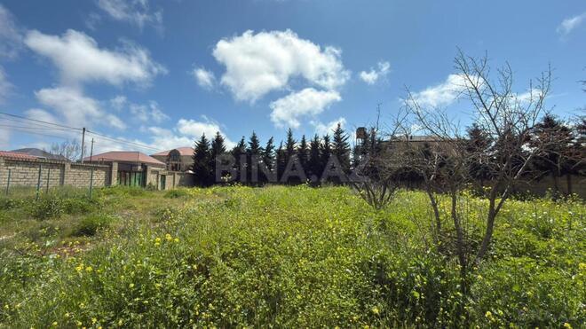 Продаётся  участок 10 сот, пос. Шаган, photo 6 from 8