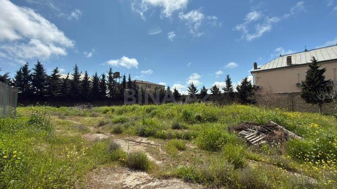 Продаётся  участок 10 сот, пос. Шаган, photo 3 from 8